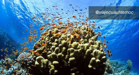 machoooo-recuperado-recuperado